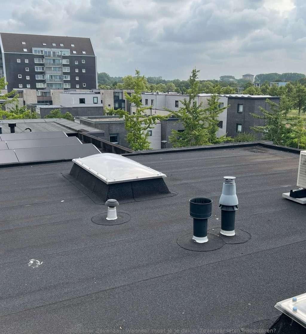 Dak Laten Inspecteren Zevenaar