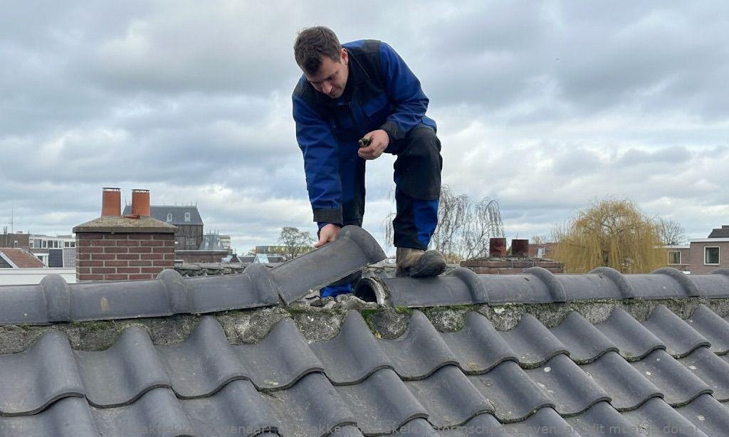 Dakdekker Inschakelen Stormschade Zevenaar