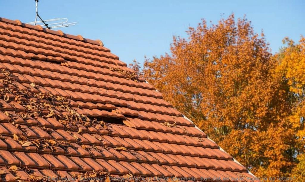 Dakrenovatie In Herfst Zevenaar