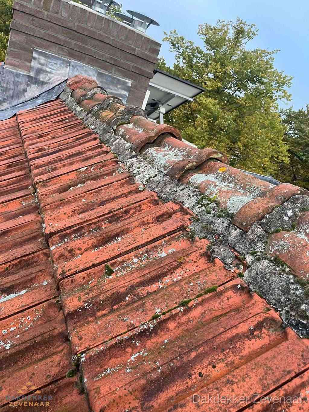 Renovatie Hellend Dak Zevenaar