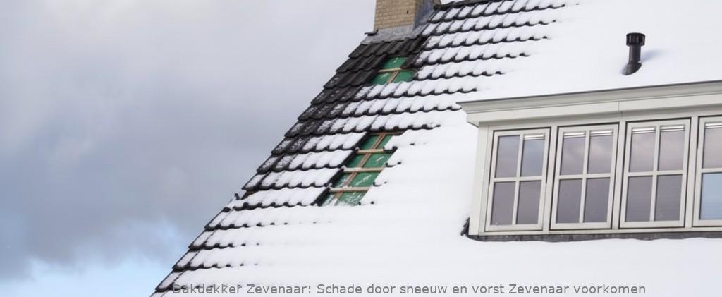 Schade Door Sneeuw En Vorst Zevenaar