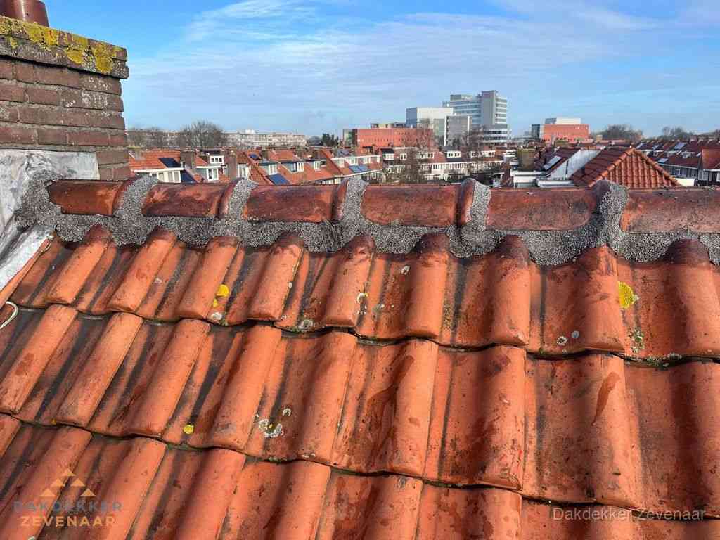 Zevenaar Daken Renoveren